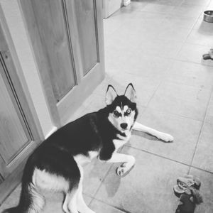 Meet your Posher, Dana